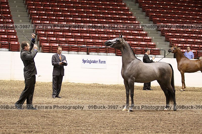 Proof Number 09buck-3987