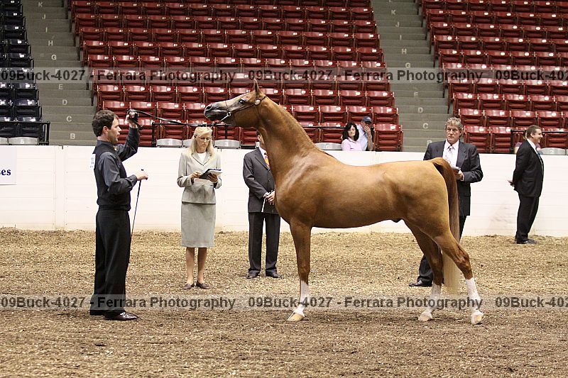 Proof Number 09buck-4027