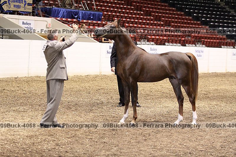 Proof Number 09buck-4068