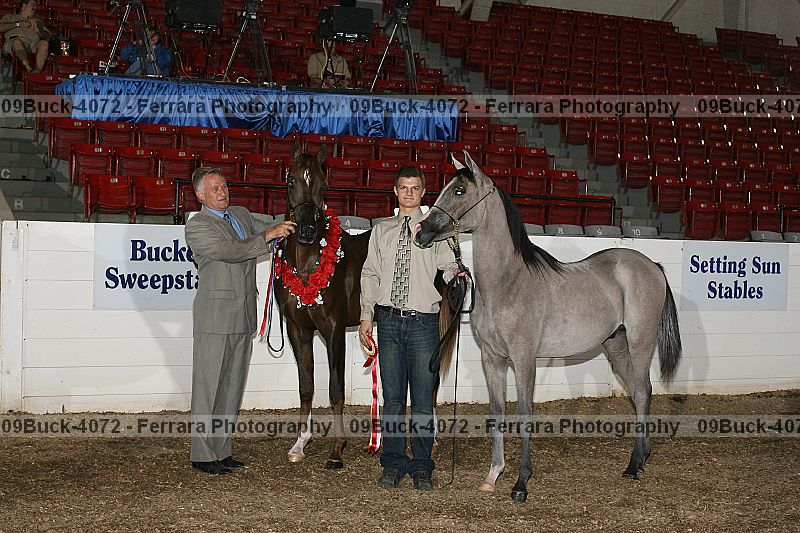 Proof Number 09buck-4072