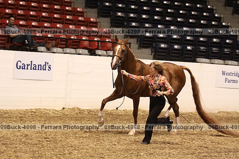 Proof Number 09buck-4098