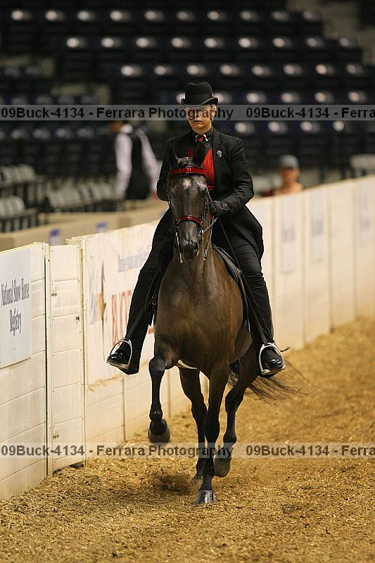Proof Number 09buck-4134