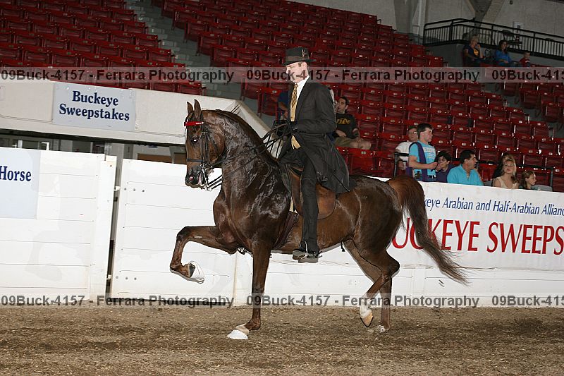Proof Number 09buck-4157
