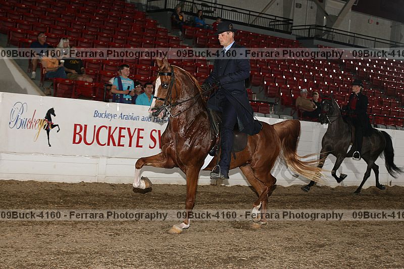 Proof Number 09buck-4160