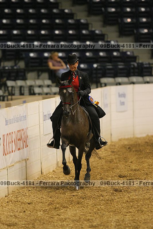 Proof Number 09buck-4181