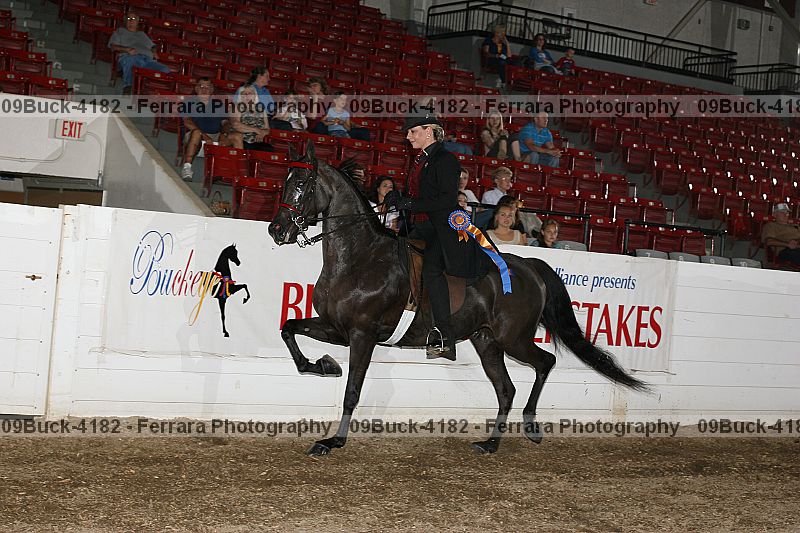 Proof Number 09buck-4182