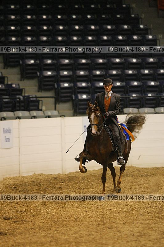 Proof Number 09buck-4183