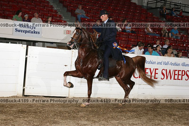 Proof Number 09buck-4189