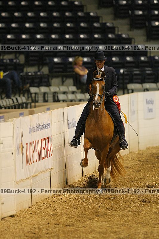 Proof Number 09buck-4192