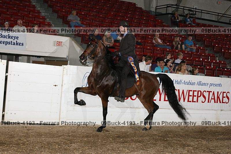 Proof Number 09buck-4193