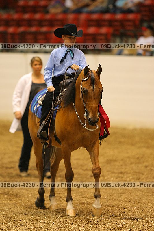 Proof Number 09buck-4230