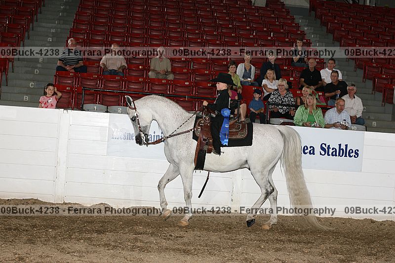 Proof Number 09buck-4238