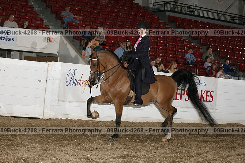 Proof Number 09buck-4268