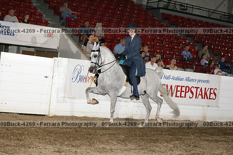 Proof Number 09buck-4269