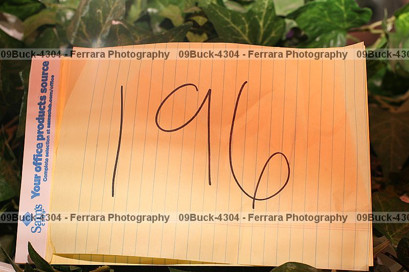 Proof Number 09buck-4304
