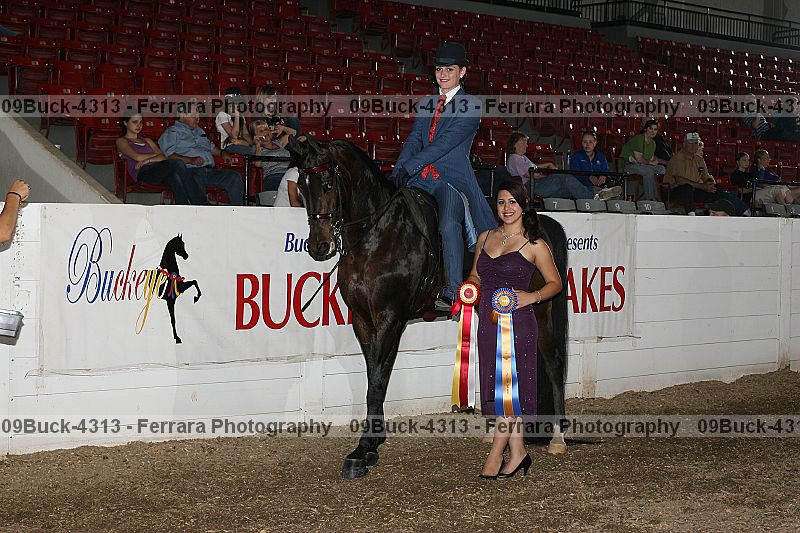 Proof Number 09buck-4313