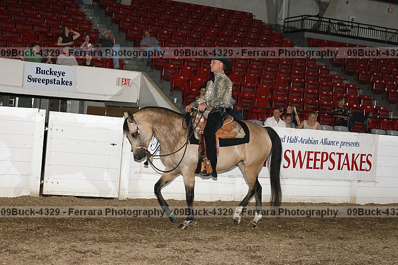 Proof Number 09buck-4329