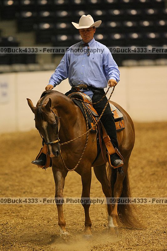 Proof Number 09buck-4333