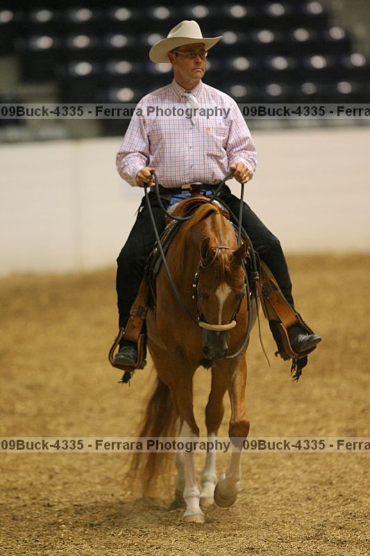 Proof Number 09buck-4335