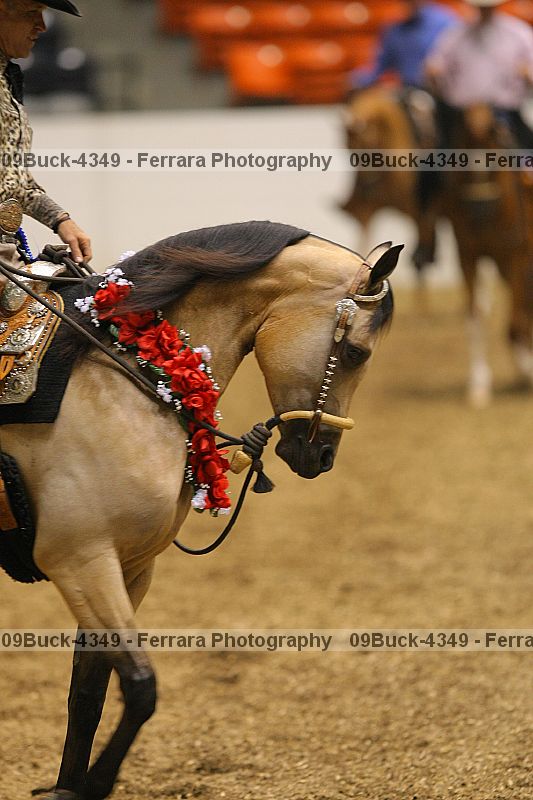 Proof Number 09buck-4349