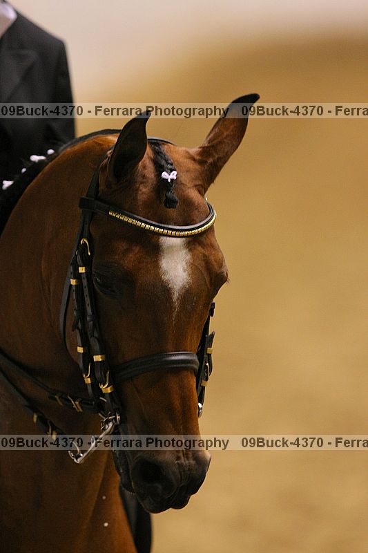 Proof Number 09buck-4370