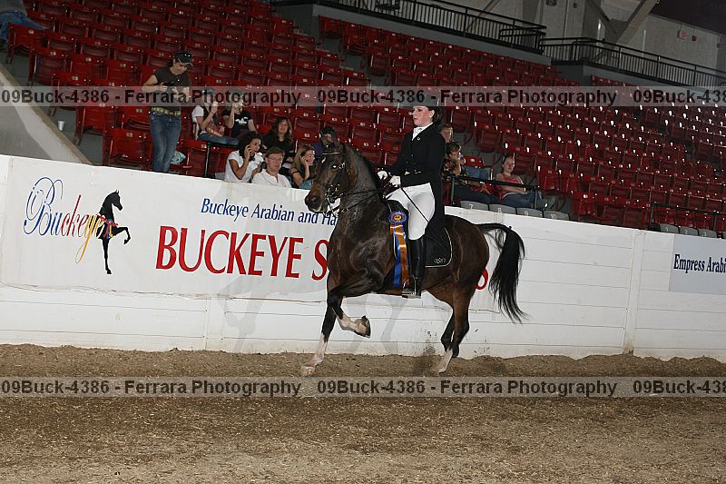 Proof Number 09buck-4386