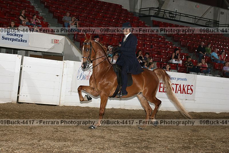 Proof Number 09buck-4417