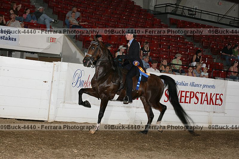 Proof Number 09buck-4440