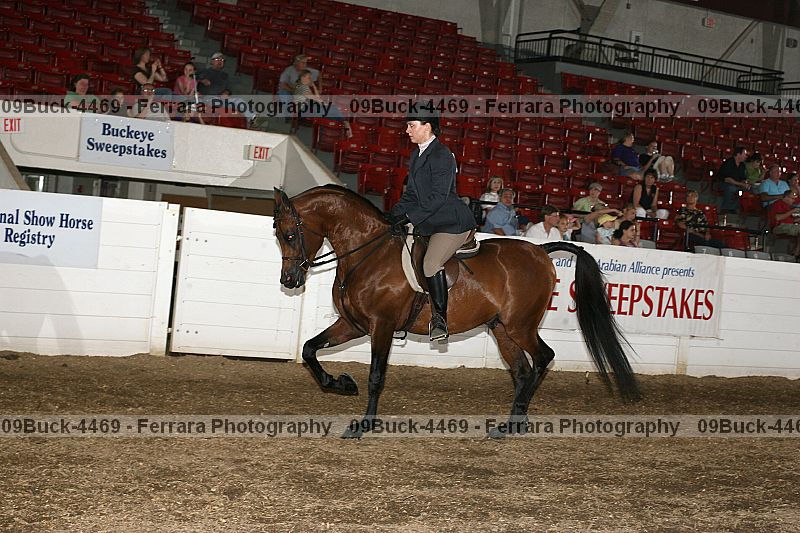 Proof Number 09buck-4469