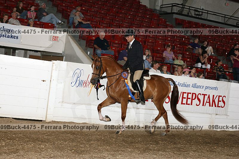 Proof Number 09buck-4475