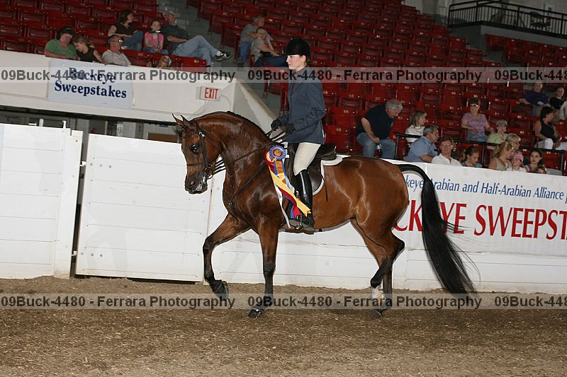 Proof Number 09buck-4480