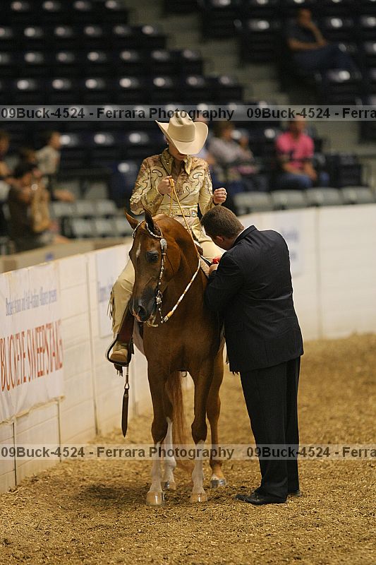 Proof Number 09buck-4524