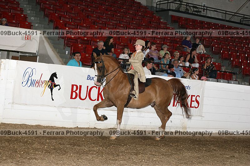 Proof Number 09buck-4591