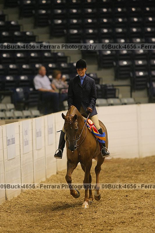 Proof Number 09buck-4656