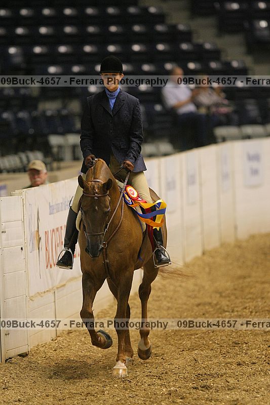 Proof Number 09buck-4657