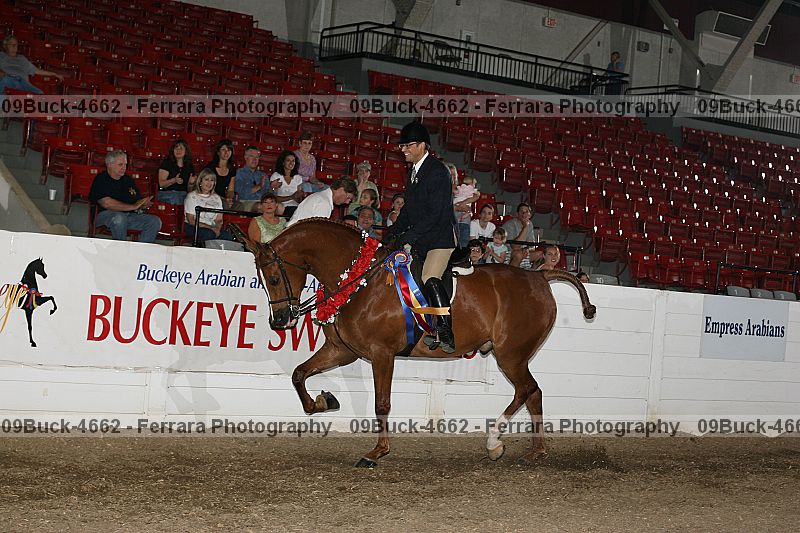 Proof Number 09buck-4662