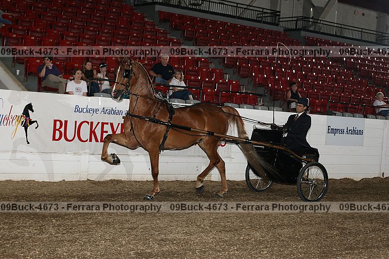Proof Number 09buck-4673