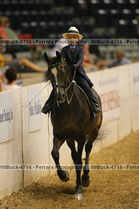 Proof Number 09buck-4714