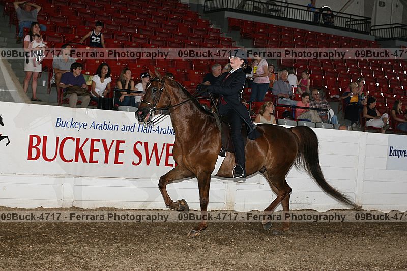 Proof Number 09buck-4717