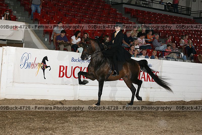 Proof Number 09buck-4728