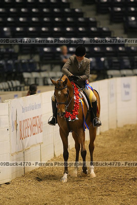 Proof Number 09buck-4770
