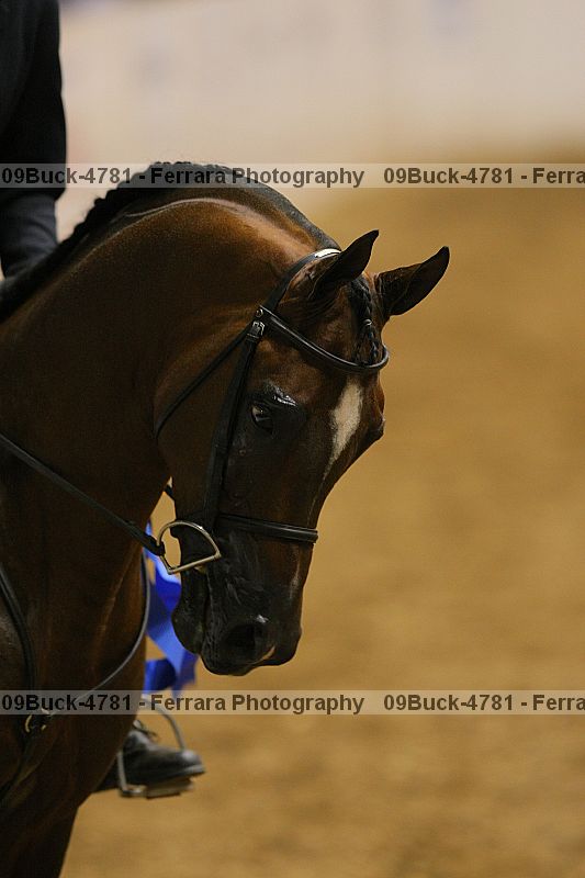 Proof Number 09buck-4781
