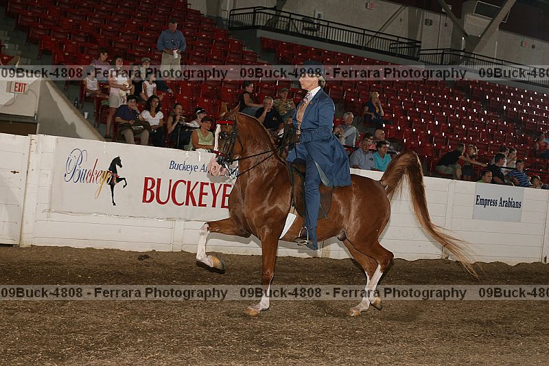 Proof Number 09buck-4808