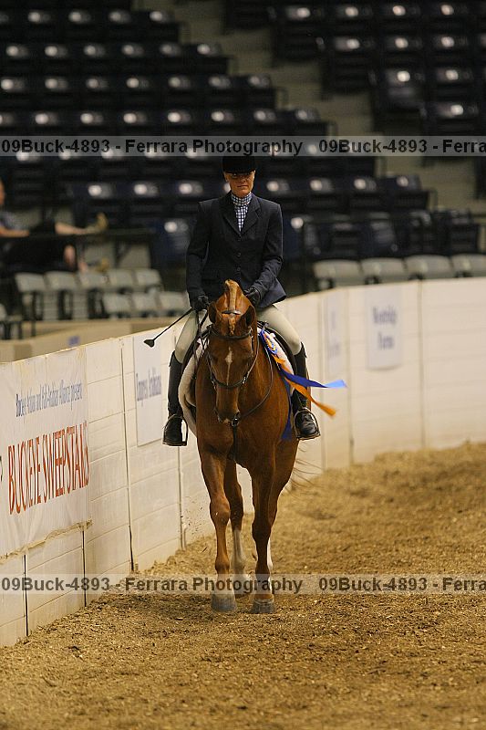 Proof Number 09buck-4893