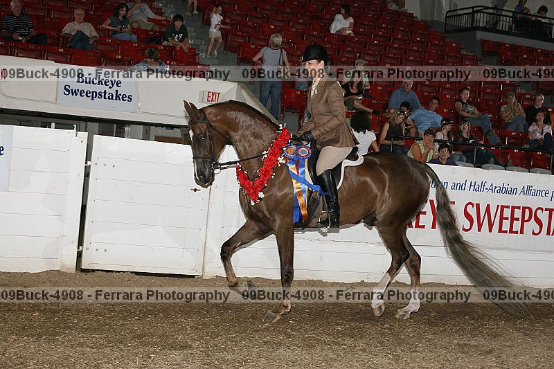 Proof Number 09buck-4908