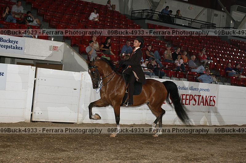 Proof Number 09buck-4933