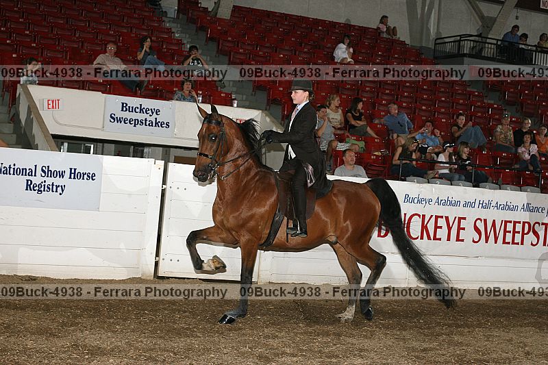 Proof Number 09buck-4938