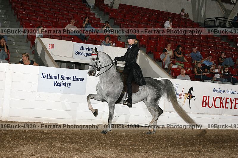 Proof Number 09buck-4939
