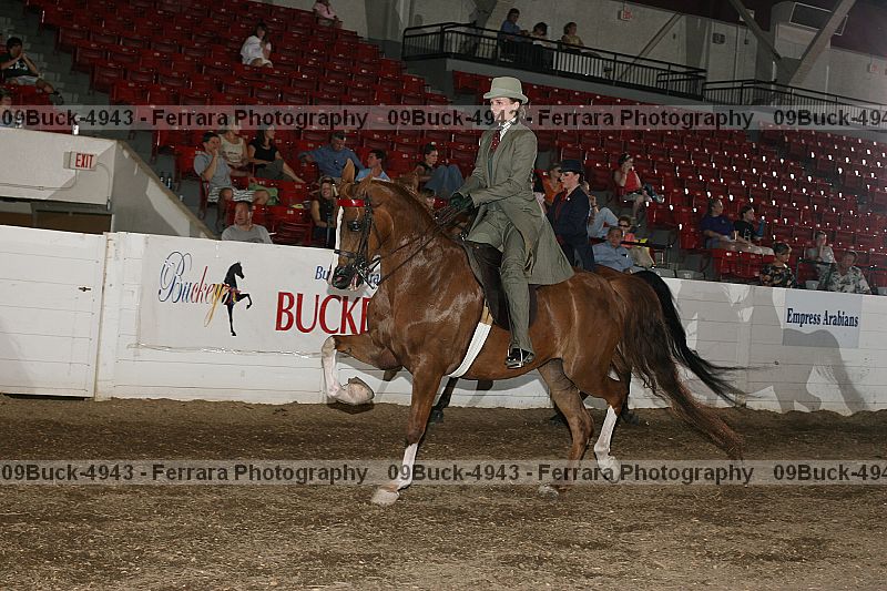 Proof Number 09buck-4943