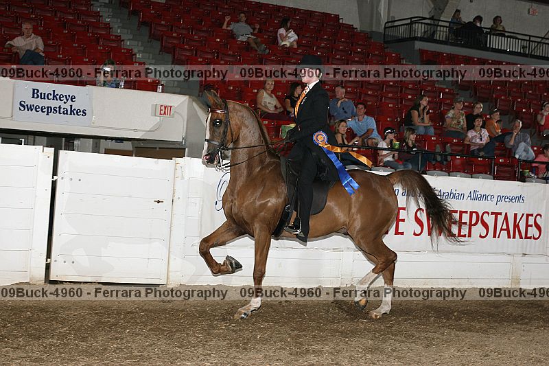 Proof Number 09buck-4960